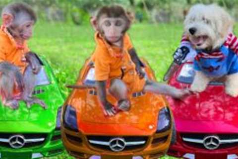 Monkey Baby Bim Bim takes ducklings colorful car of Amee