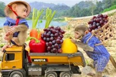 Bim Bim and his wife harvest fruit to make juice