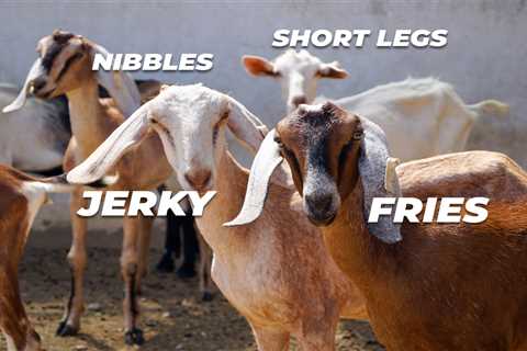 Our Huge List of Handpicked Female Goat Names - Critter Ridge