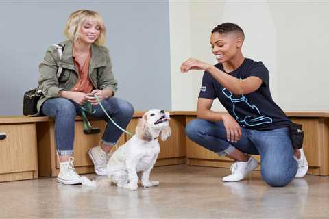 Dog Training and Puppy Training in Tallahassee, Florida