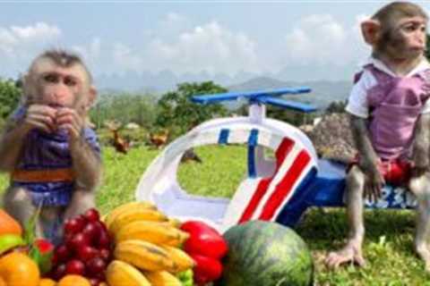 Bim Bim flies a helicopter to pick fruit and make juice for baby monkey Obi
