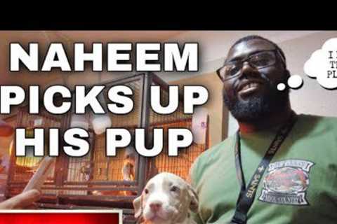 MONDAY BULLY TALK: Naheem Picks-Up His Puppy