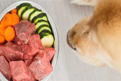 Why raw dog food is bad?