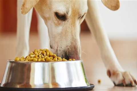 What dog food is not recommended by vets?
