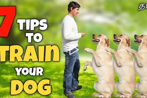 7 tips for training a dog | How to train | Basics | funny😂
