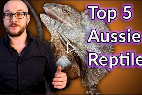 Top 5 Coolest Australian Reptiles That Make Great Pets