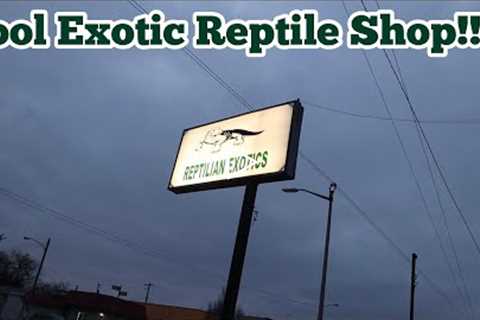 Cool Exotic Reptile Shop!!! | Reptilian Exotics