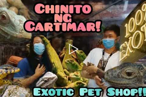 Bilihan ng Exotic animals Sa Cartimar! 2022 Price update! 100% exotics lang sakalam!