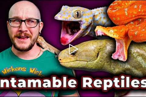 Top 5 Most Difficult To Tame Reptiles, But The Most Rewarding!