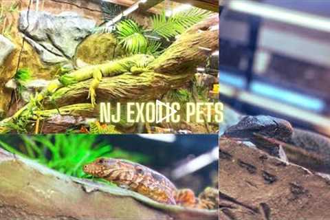 VISITING NJ EXOTIC PETS NEW LOCATION | TOUR WITH ME!