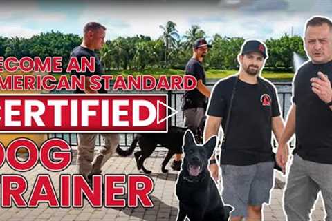 Become A CERTIFIED DOG TRAINER - Apply Now!