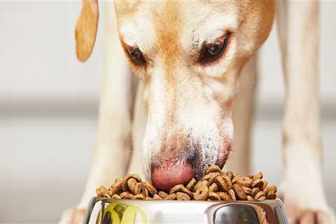 What are the 18 brands of dog food being recalled?