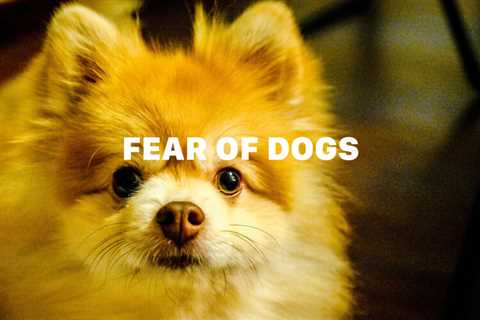 Fear of Dogs - Is There a Genetic Link?