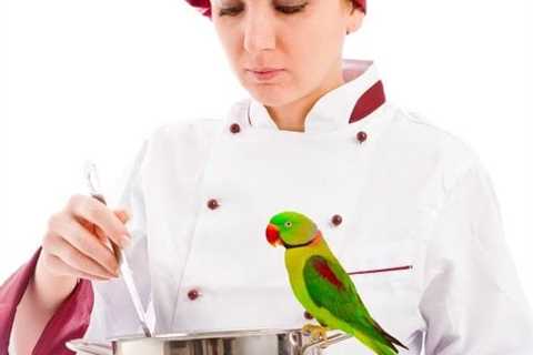 Is Induction Stainless Less Bird-safe Than Stainless Cookware?