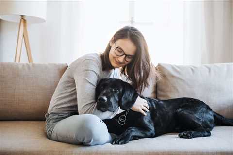 4 Special Ways To Remember Your Pet