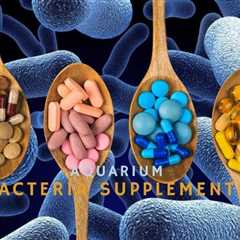 What Are The Best Aquarium Bacteria Supplements?