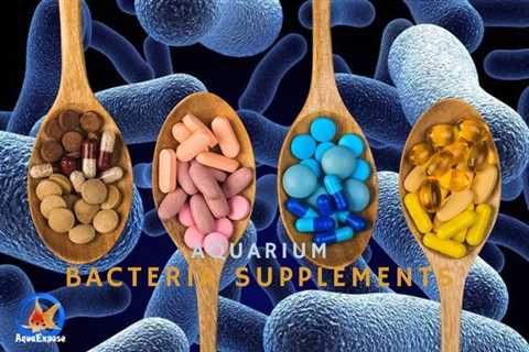 What Are The Best Aquarium Bacteria Supplements?