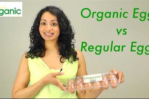 Organic Eggs vs. Regular Eggs
