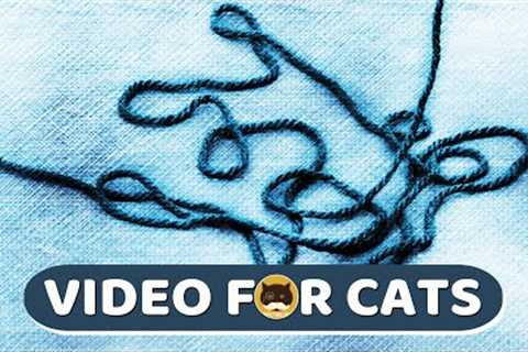 CAT GAMES - Yarn Strings. Videos for Cats | CAT TV | 1 Hour.