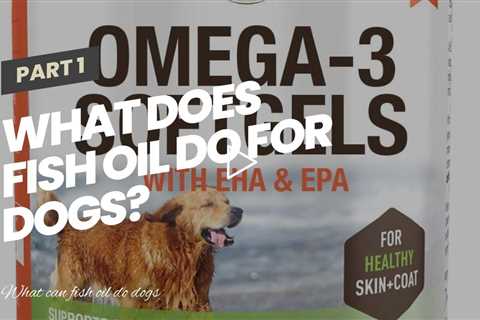 What does fish oil do for dogs?
