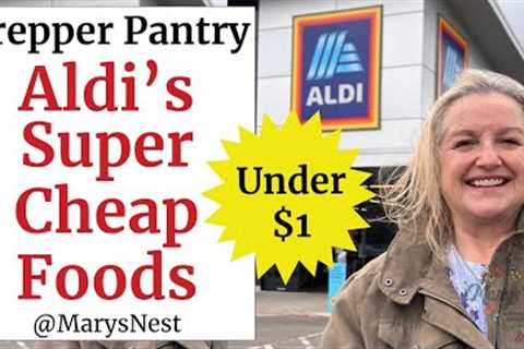 Top 10 Cheap Foods Under $1 You Need to Buy Now at Aldi
