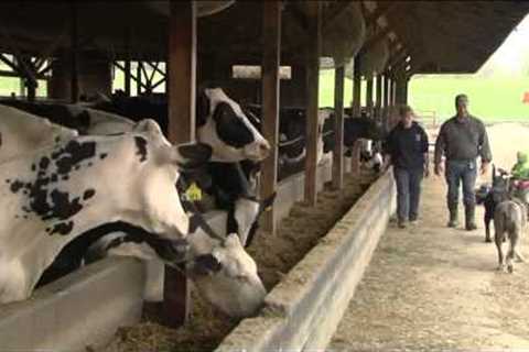 6/06/14 The 2014 Vermont Dairy Farm of the Year on Across The Fence