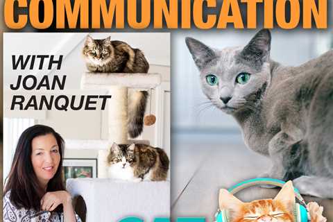 Communicating with Animals - with Joan Ranquet