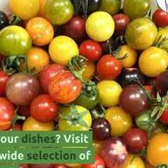Organic Tomato Seeds for Culinary Delights: Explore Chappy The Gardener''s Guide