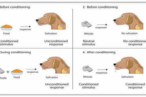 Desensitization and Counter Conditioning For Dogs