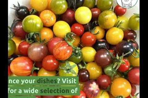Organic Tomato Seeds for Culinary Delights: Explore Chappy The Gardener''s Guide