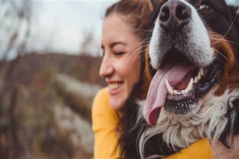 How to Keep Your Pet Healthy and Happy: A Guide for Pet Owners