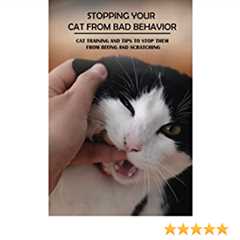 How to Stop Bad Cat Behavior With Clicker Training