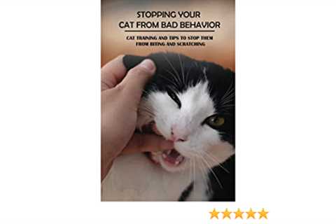 How to Stop Bad Cat Behavior With Clicker Training