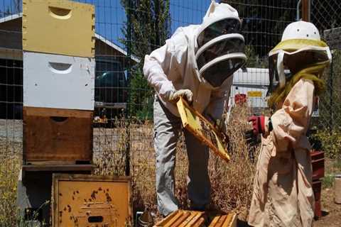 Essential Beekeeping Equipment for Sacramento, CA