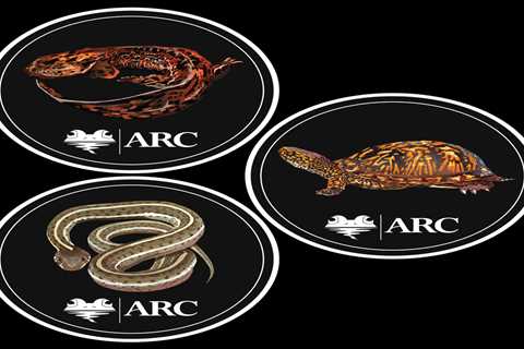 Get Stuck on Amphibians and Reptiles with Free Stickers