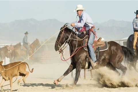 The Black Rodeo National Finals: Get Ready for an Exciting Event in Bossier City, Louisiana!