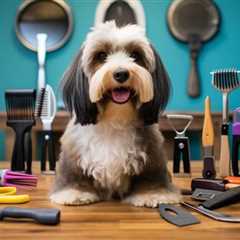 10 Must-Have Dog Grooming Essentials That Will Keep Your Pet Looking Great