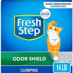 Fresh Step Clumping Cat Litter Review: Odor Shield Magic