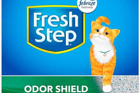 Fresh Step Clumping Cat Litter Review: Odor Shield Magic