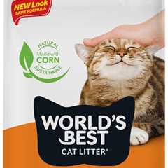 WORLD’S BEST CAT LITTER Review: Unmatched Odor Control