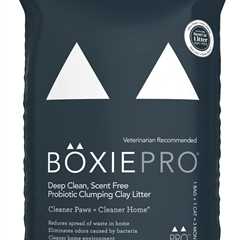 Boxie® Probiotic Litter Review: Odor Control for Days