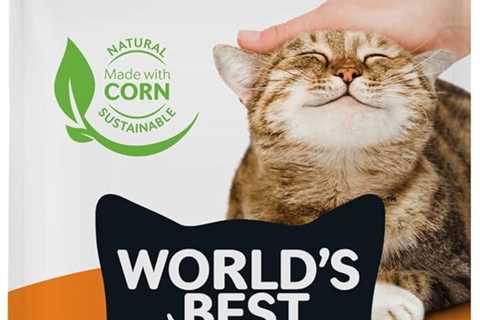 WORLD’S BEST CAT LITTER Review: Unmatched Odor Control