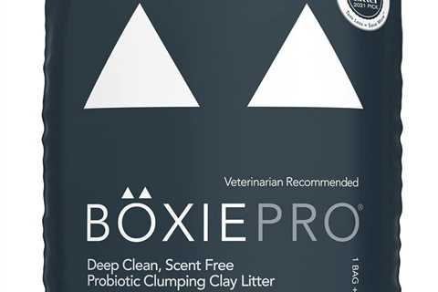 Boxie® Probiotic Litter Review: Odor Control for Days