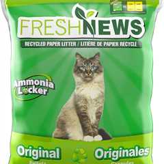 Fresh News Recycled Paper Review: A Cat’s Best Friend