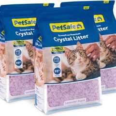 PetSafe ScoopFree Review: Lavender-Scented Wonder Litter