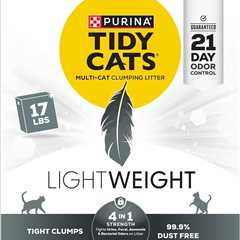 Purina Tidy Cats Review: A Dust-Free Delight