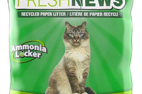 Fresh News Recycled Paper Review: A Cat’s Best Friend