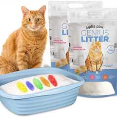 Genius Litter Review: A Colorful Revolution!