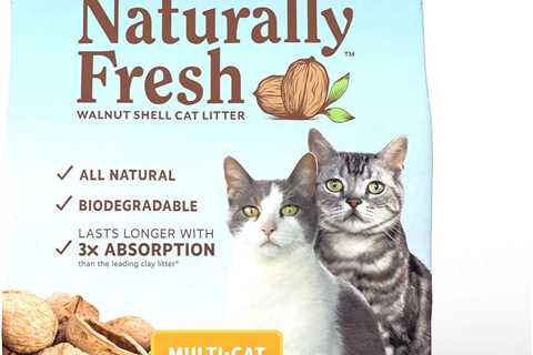 Naturally Fresh BLUE: A Litter Revolution Review