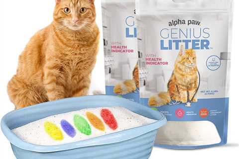 Genius Litter Review: A Colorful Revolution!